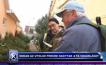 SOKAN AZ UTOLSÓ PERCRE HAGYTÁK A FA VÁSÁRLÁSÁT