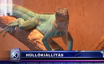 HÜLLŐKIÁLLÍTÁS
