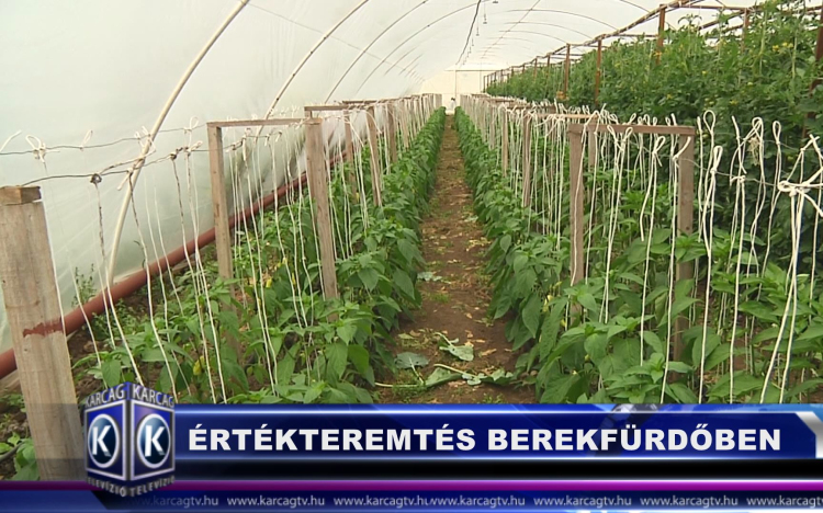 ÉRTÉKTEREMTÉS BEREKFÜRDŐBEN