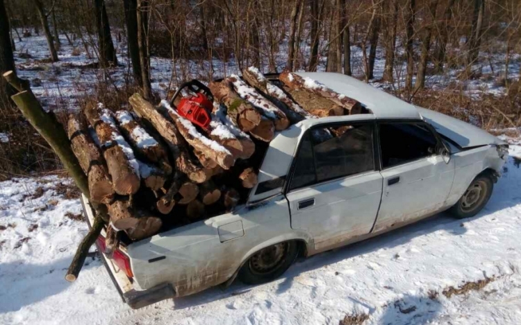 Brutálisan megpakolták lopott fával a Ladát - FOTÓK