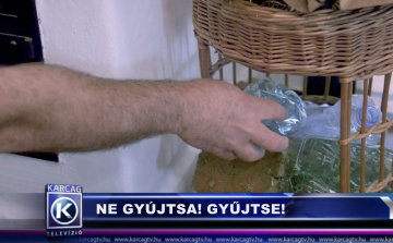 NE GYÚJTSA! GYŰJTSE!