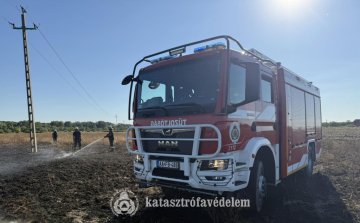 Egy hektáron égett az aljnövényzet Besenyszögnél