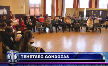 TEHETSÉG GONDOZÁS