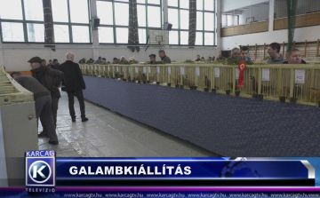 GALAMBKIÁLLÍTÁS