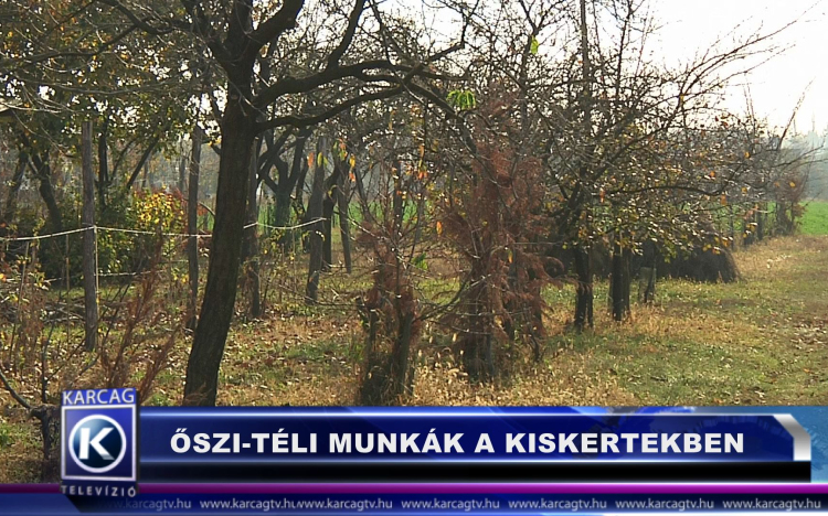 TÉLI MUNKÁK A KISKERTEKBEN