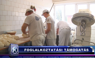 FOGLALKOZTATÁSI TÁMOGATÁS