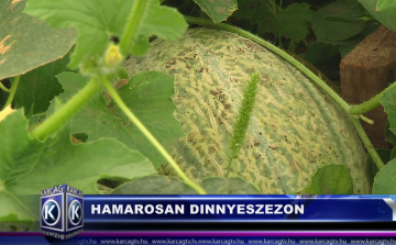 Hamarosan dinnyeszezon