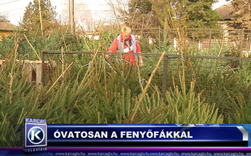 ÓVATOSAN A FENYŐFÁKKAL