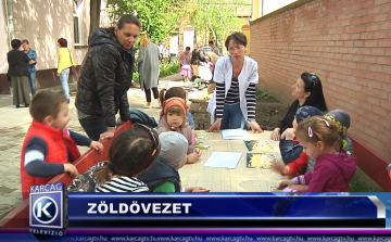 ZÖLDÖVEZET