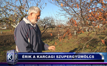 ÉRIK A KARCAGI SZUPERGYÜMÖLCS