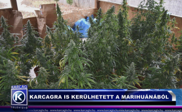 KARCAGRA IS KERÜLHETETT A MARIHUÁNÁBÓL
