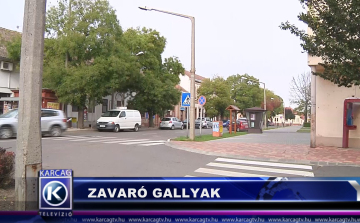 Zavaró gallyak