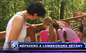 Népszerű a lombkorona sétány