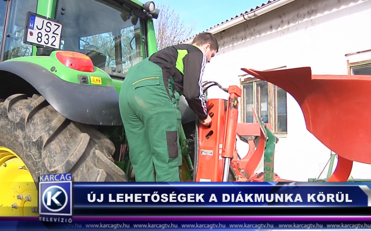 Új lehetőségek a diákmunka körül