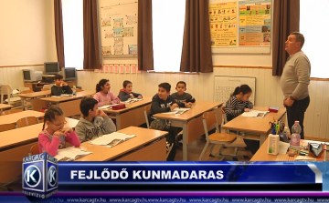 FEJLŐDŐ KUNMADARAS