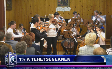 1% A TEHETSÉGEKNEK