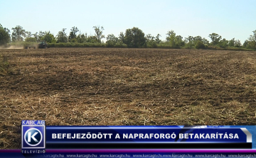 BEFEJEZŐDÖTT A NAPRAFORGÓ BETAKARÍTÁSA IS
