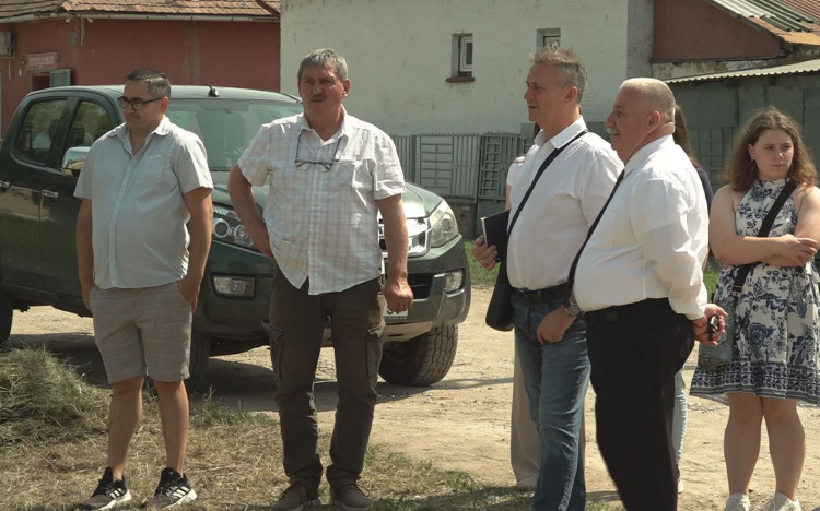 BEJÁRÁS A DÉLI KÜLVÁROSBAN