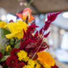 Magyarország Legszebb Konyhakertjei országos díjátadó