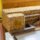 Helytörténet és rajzpályázat eredményhírdetése a Györffyben