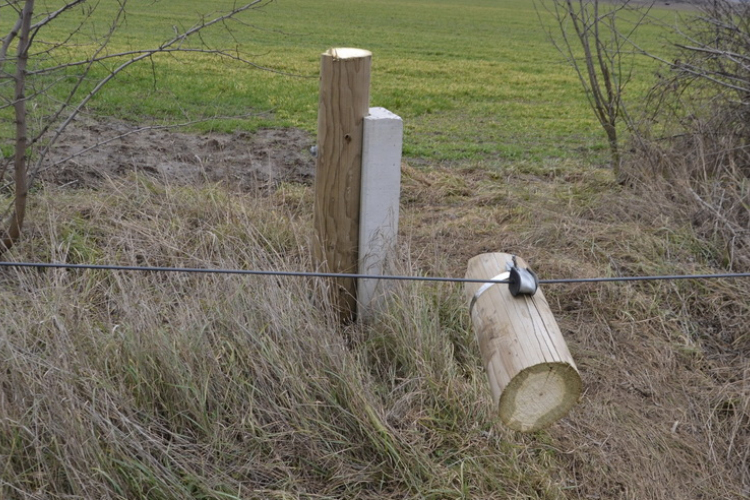LETARTÓZTATVA: HATRENDBELI LOPÁS 