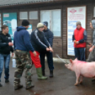 Disznótoroztak a karcagi focisták