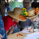 Fecskevató a Györffyben