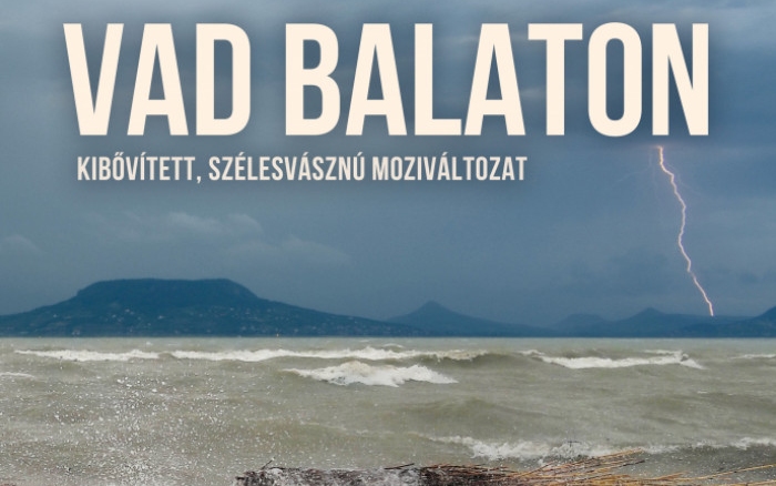 Jövő héttől vetítik a mozik a Vad Balaton című természetfilmet
