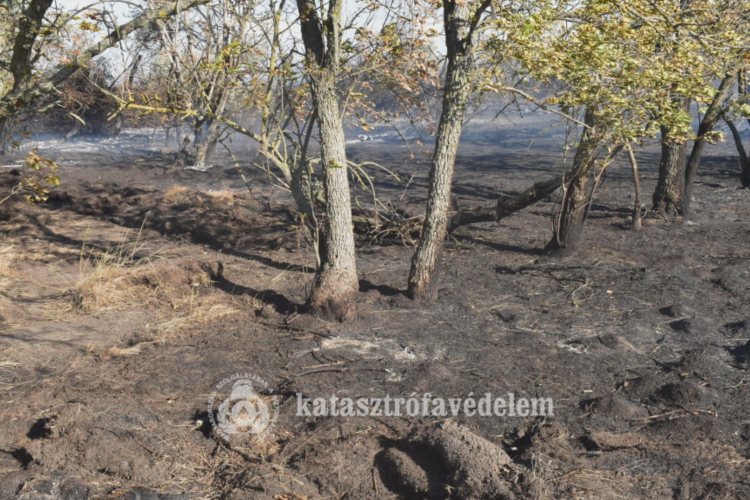  Harminc hektár égett le Kunmadarasnál