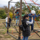 Traktoros ügyességi verseny