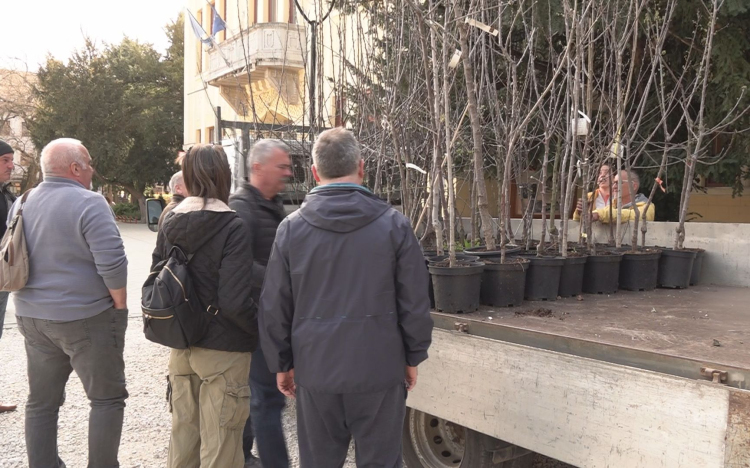 GYÜMÖLCSFA-OSZTÁS KARCAGON