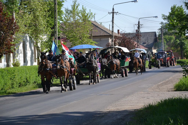 Ballagás 2013 • Szentannai Sámuel Gimnázium, Szakközépiskola és Kollégium