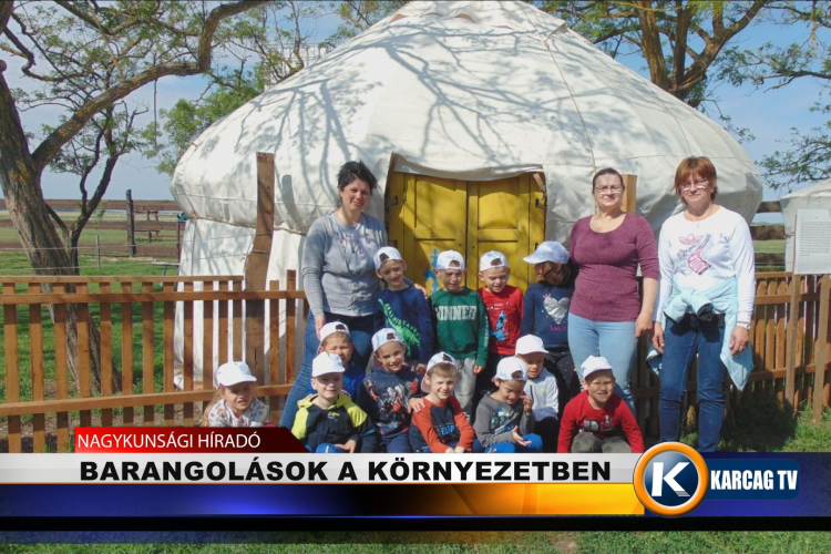 BARANGOLÁSOK A KÖRNYEZETBEN