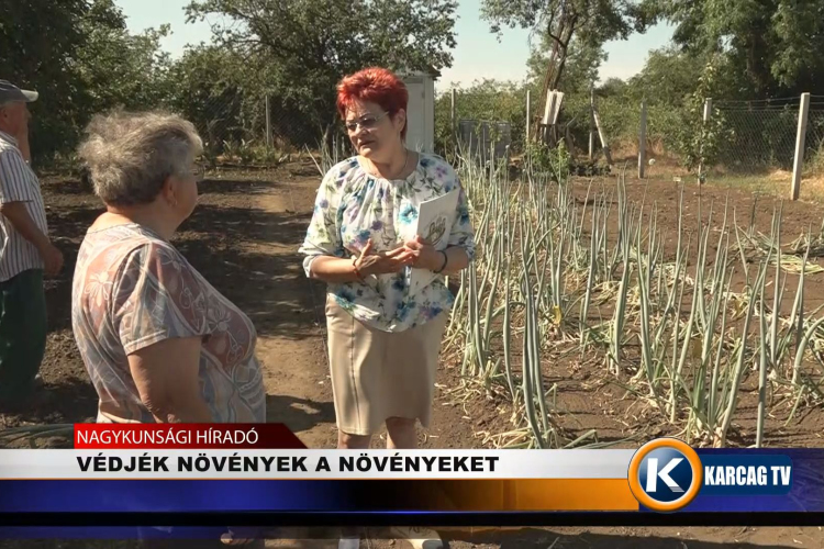 VÉDJÉK NÖVÉNYEK A NÖVÉNYEKET