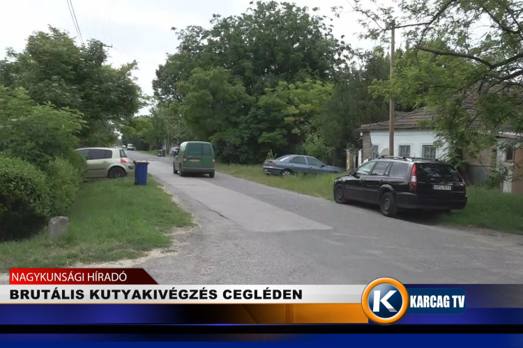 BRUTÁLIS KUTYAKIVÉGZÉS CEGLÉDEN