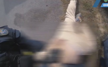 BŰNÖS CSALÁDI TRIÓ