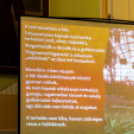 Kék zóna konferencia Karcagon