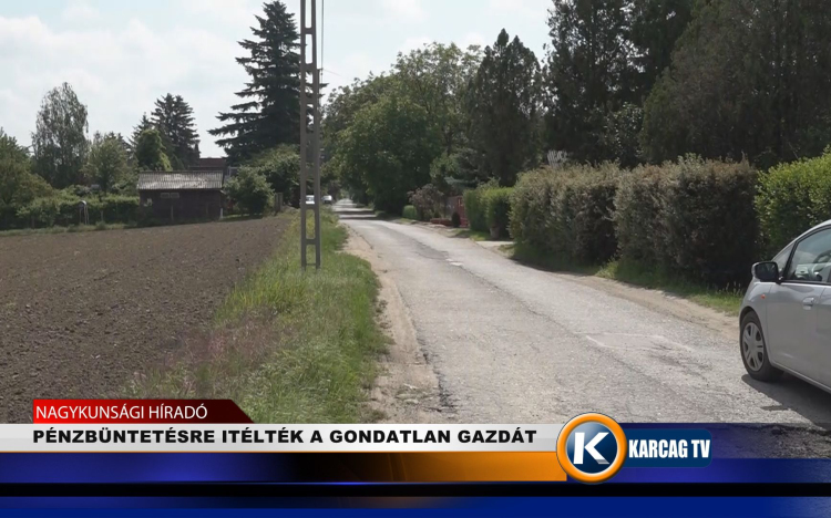 PÉNZBÜNTETÉSRE ITÉLTÉK A GONDATLAN GAZDÁT 