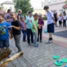 Fecskevató a Györffyben