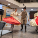 Magyarország legszebb konyhakertje szakmai nap