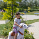 Családi nap és traktoros ügyességi verseny