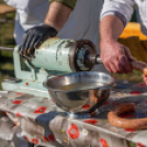 Karcagi Kolbászízesítő és toroskáposzta-főző verseny