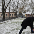 Mándoky Kongur Istvánra emlékezve