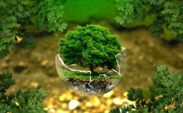ISO 14001 – környezetközpontú vállalati folyamatok