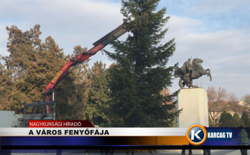 A VÁROS FENYŐFÁJA