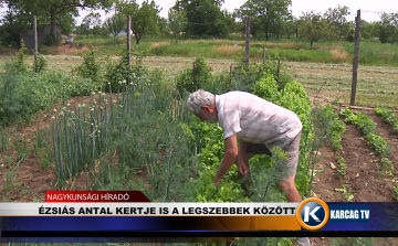 ÉZSIÁS ANTAL KERTJE IS A LEGSZEBBEK KÖZÖTT