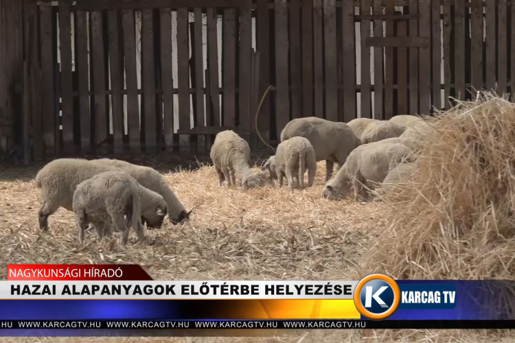 HAZAI ALAPANYAGOK ELŐTÉRBE HELYEZÉSE