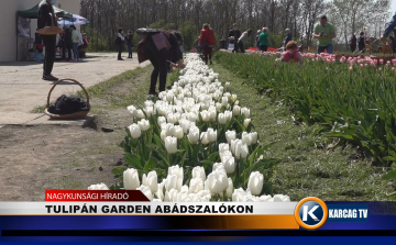 TULIPGARDEN ABÁDSZALÓKON