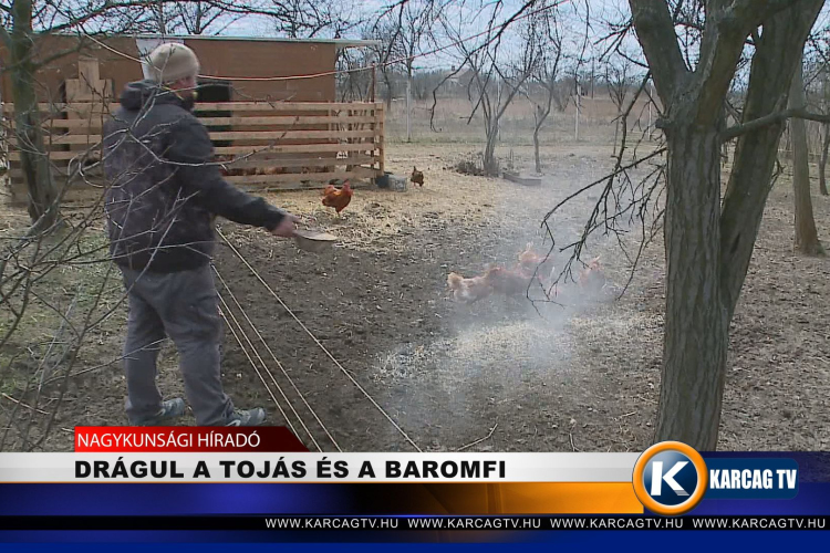 Drágul a tojás és a baromfi