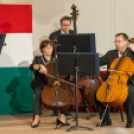 Magyar Kultúra Napja Karcagon